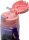 Trinkflasche 600 ml - Frozen